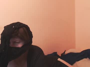 WildRedCat video