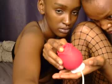 zeddy video