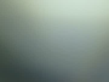 Profile preview